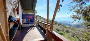 Отель Campo Agave Luxury Tents  Сайялонга